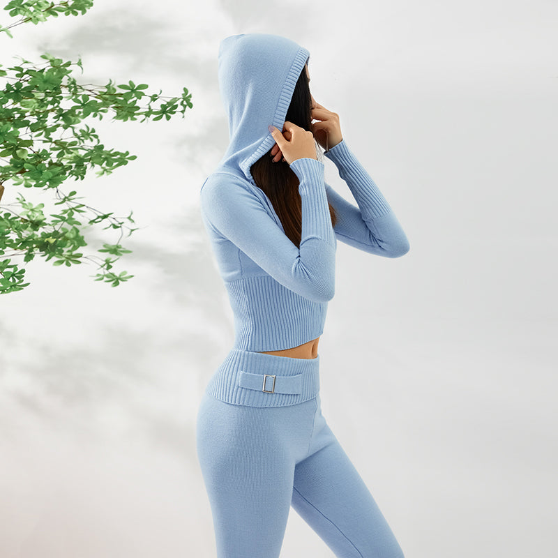 Hoodie Suit Women Leisure Sexy Zip Long Sleeve Sweater And High Waist Long Pants Set - Another Bodega